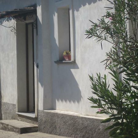 B&B Vaiana Maida Quarto foto