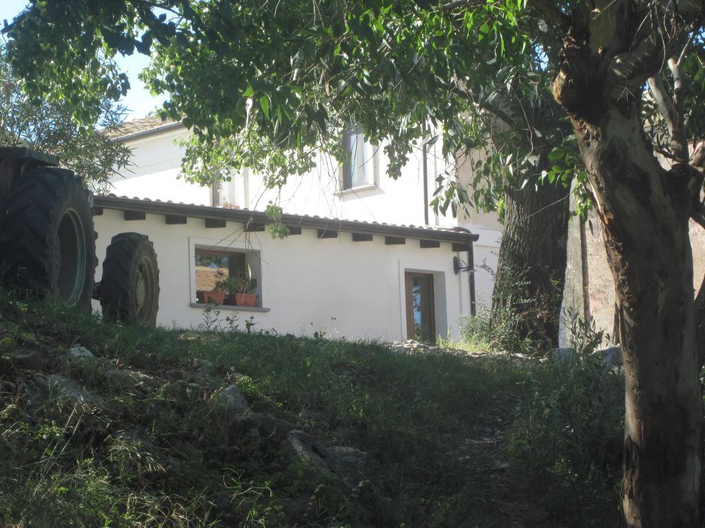 B&B Vaiana Maida Exterior foto