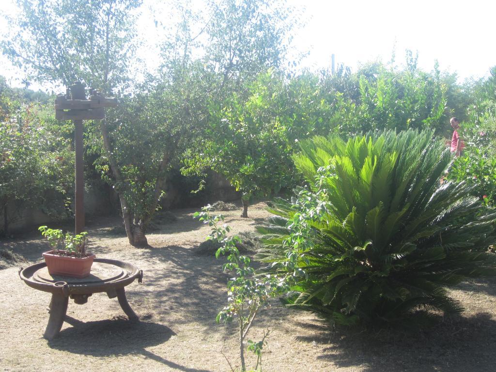 B&B Vaiana Maida Exterior foto
